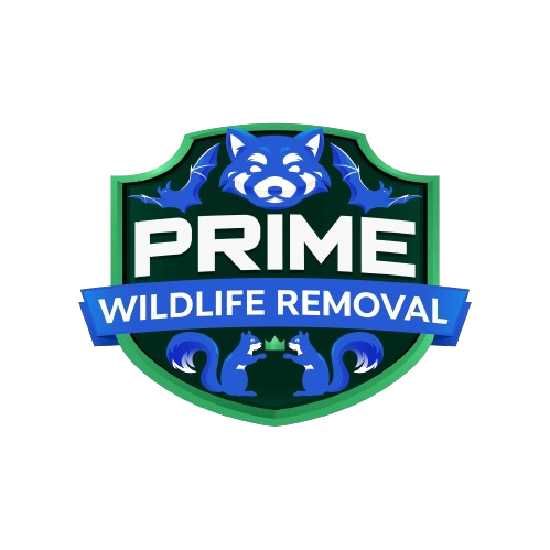 Wildlife Removal Randolph County